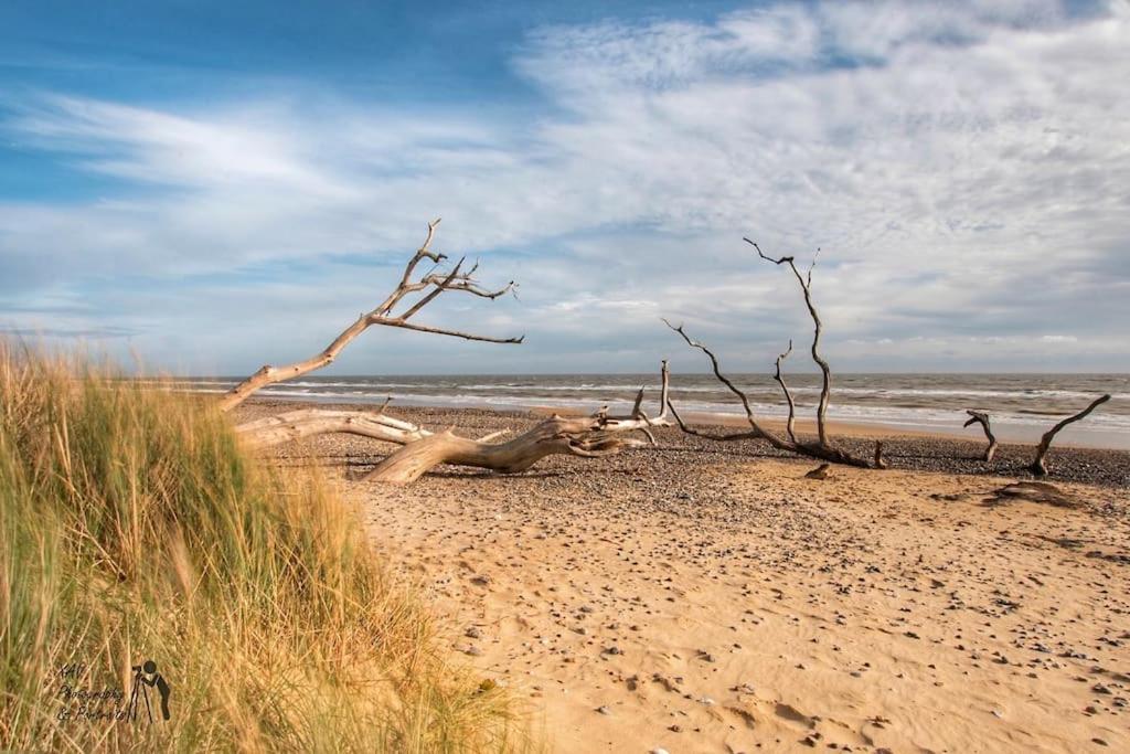 Covehithe House-Coastal Luxury- Sleeps 12-With Huge Swimspa! Wrentham Extérieur photo
